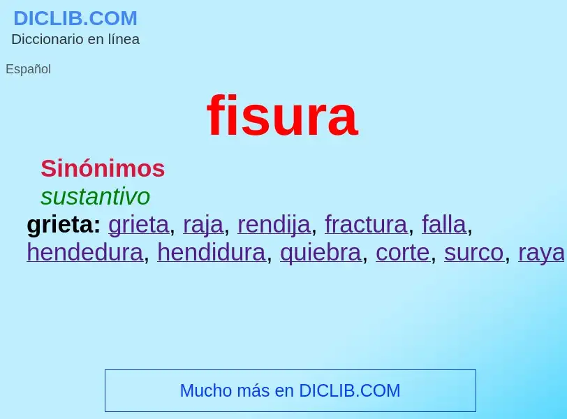 Wat is fisura - definition