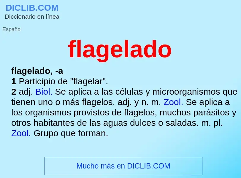 What is flagelado - definition