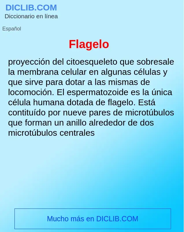 Wat is Flagelo - definition