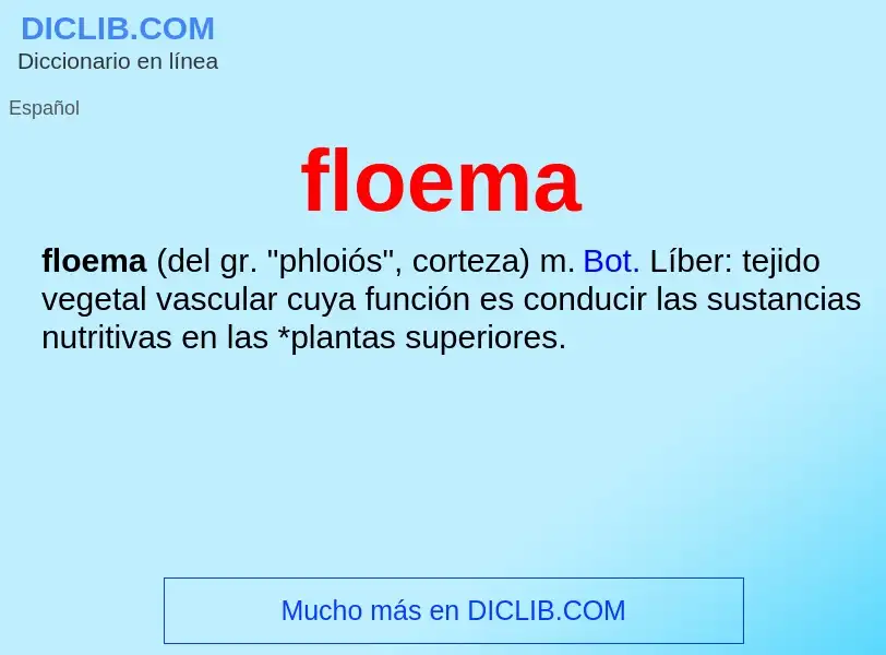 ¿Qué es floema? - significado y definición