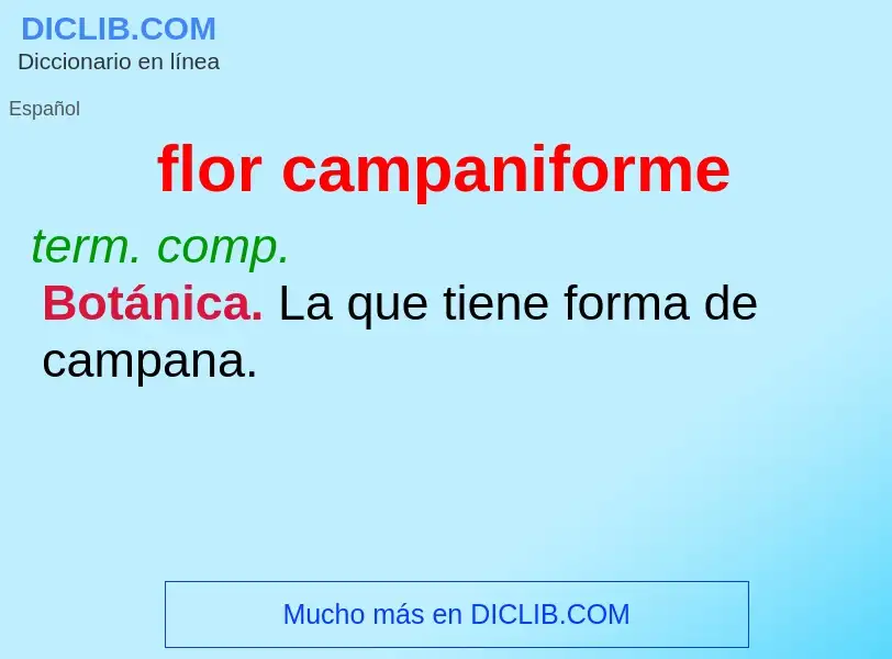 Wat is flor campaniforme - definition