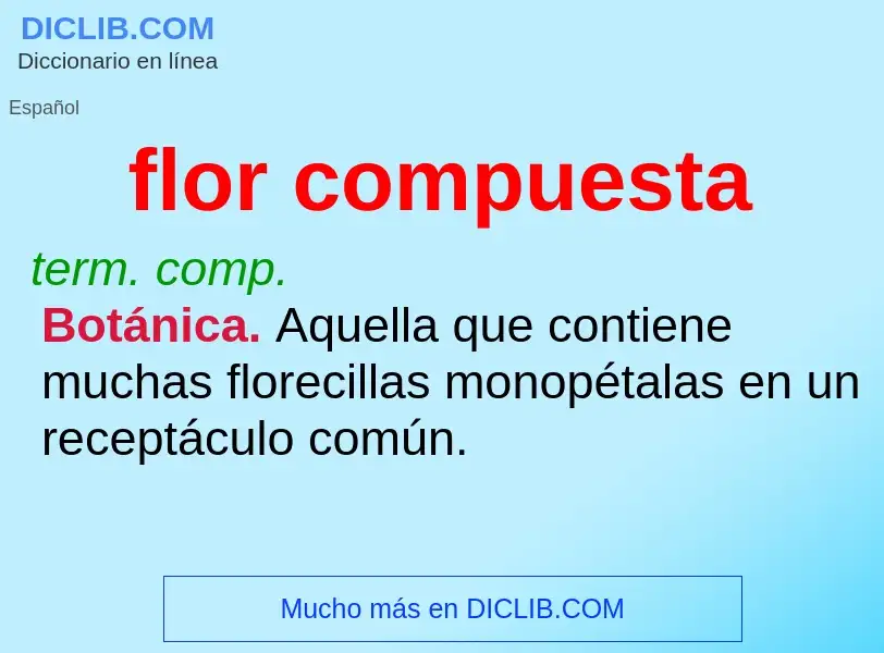 Wat is flor compuesta - definition