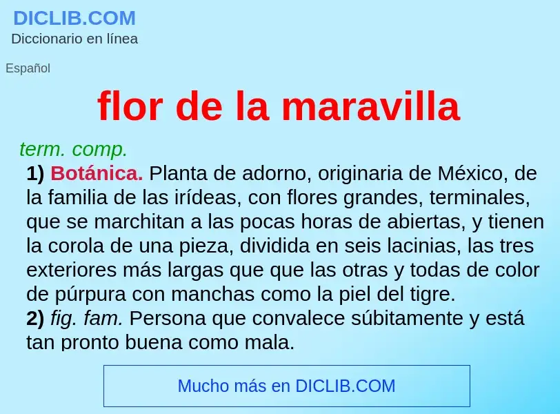 Wat is flor de la maravilla - definition