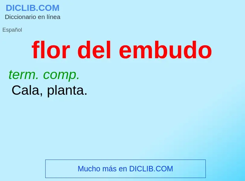 What is flor del embudo - definition