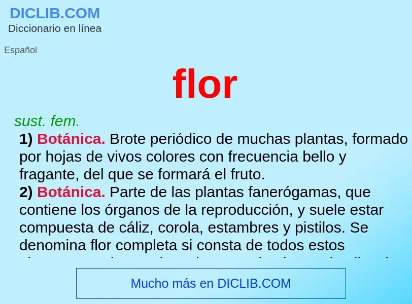 Wat is flor - definition