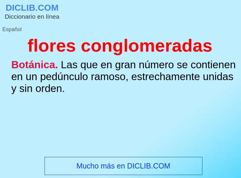 What is flores conglomeradas - meaning and definition