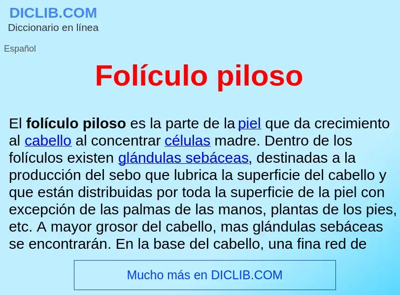 ¿Qué es Folículo piloso ? - significado y definición