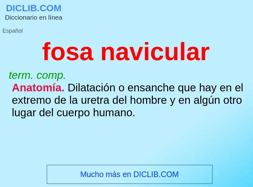 Was ist fosa navicular - Definition