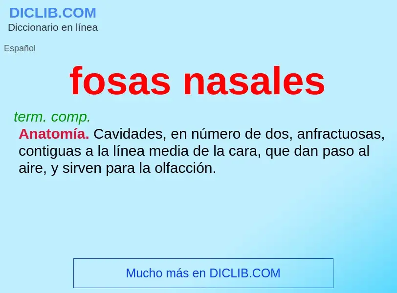 What is fosas nasales - definition