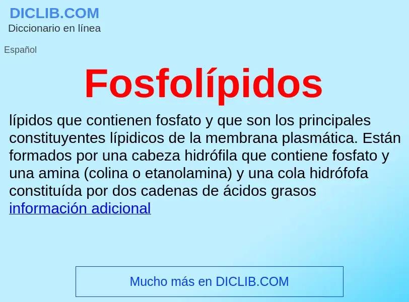 ¿Qué es Fosfolípidos? - significado y definición