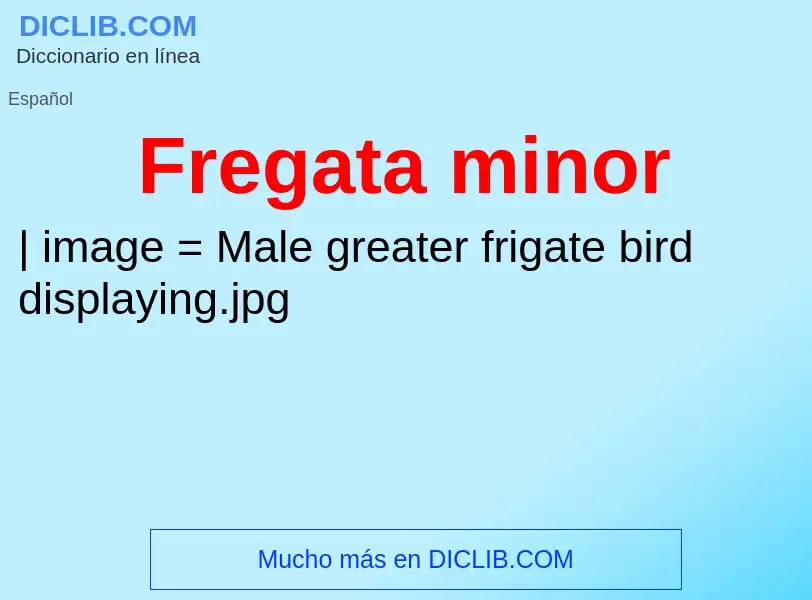 Что такое Fregata minor - определение