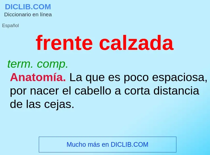 ¿Qué es frente calzada? - significado y definición