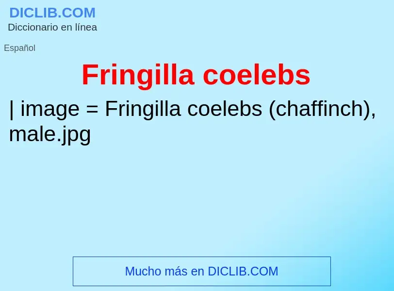 What is Fringilla coelebs - meaning and definition