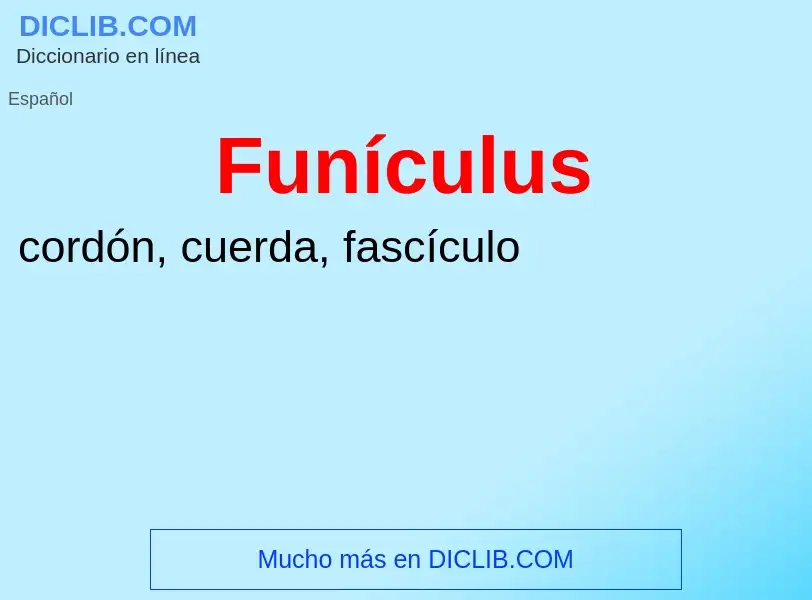 Wat is Funículus - definition