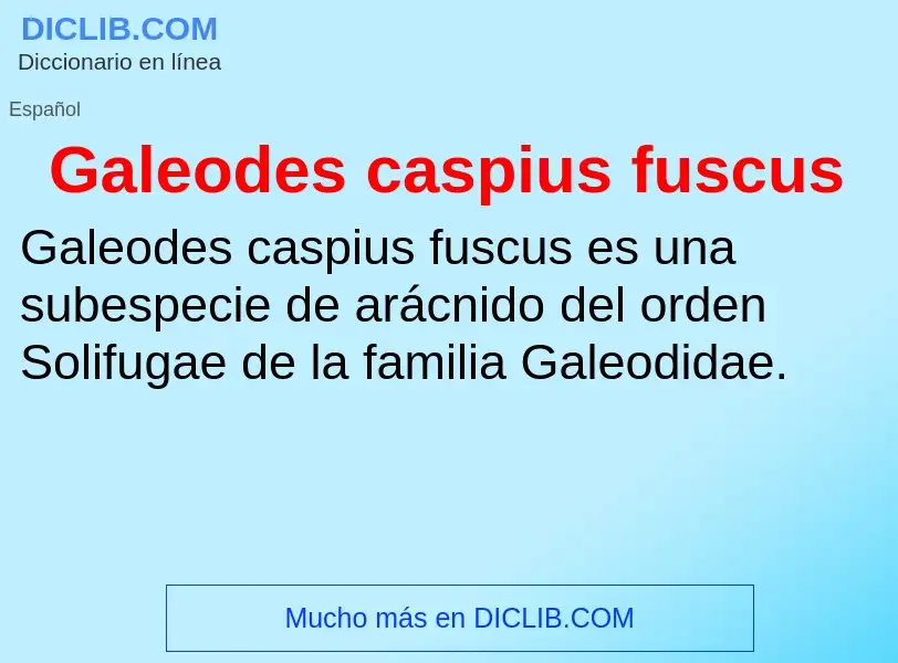 Что такое Galeodes caspius fuscus - определение