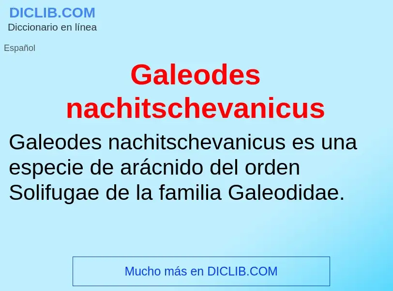 Что такое Galeodes nachitschevanicus - определение