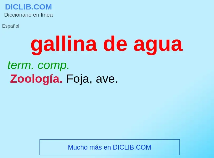 ¿Qué es gallina de agua? - significado y definición