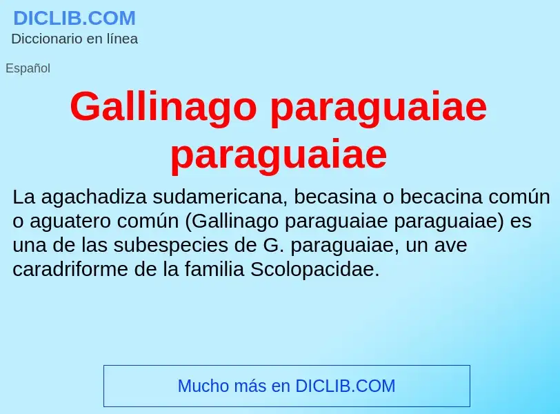 Che cos'è Gallinago paraguaiae paraguaiae - definizione