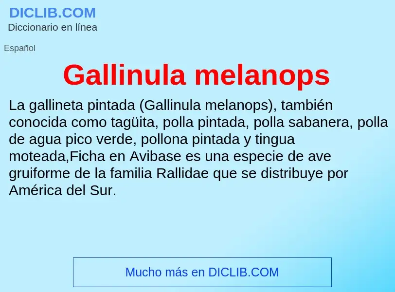 Wat is Gallinula melanops - definition