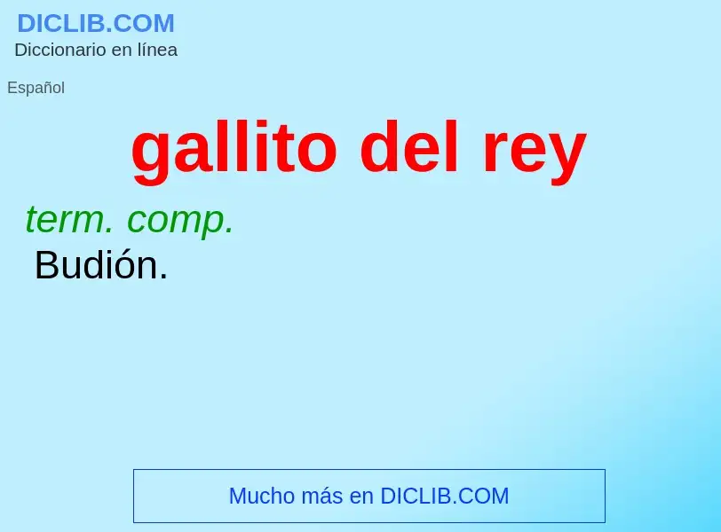 What is gallito del rey - definition