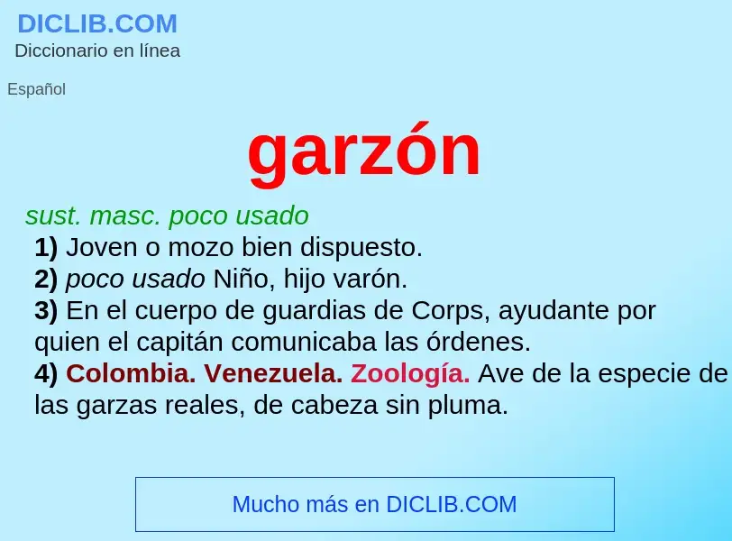 O que é garzón - definição, significado, conceito