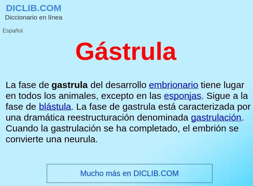 ¿Qué es Gástrula ? - significado y definición