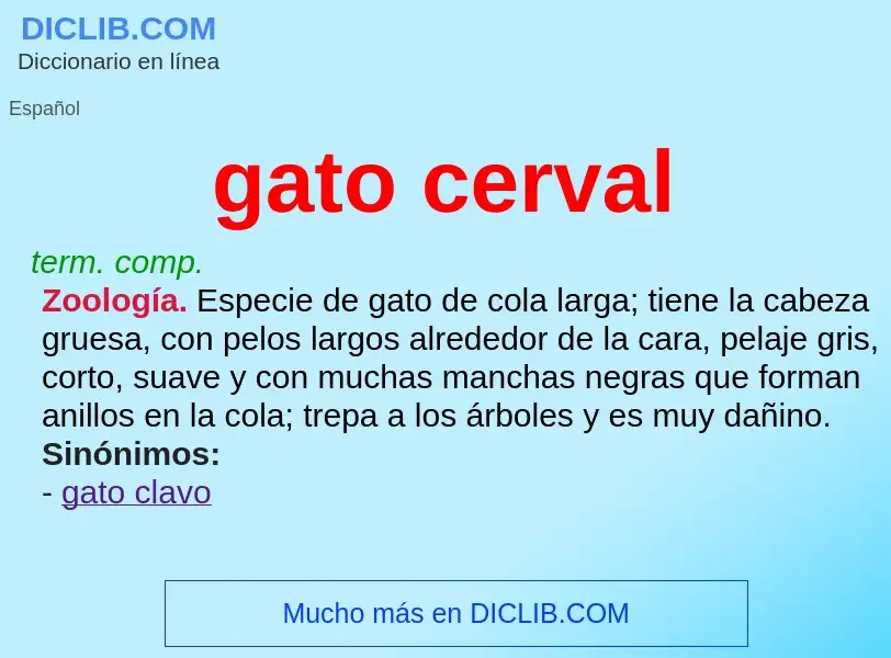 What is gato cerval - definition