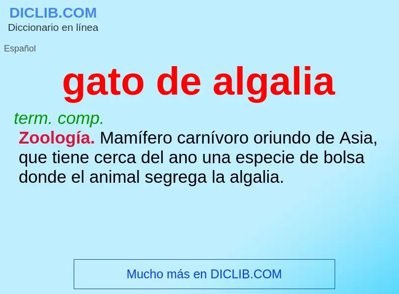 What is gato de algalia - definition