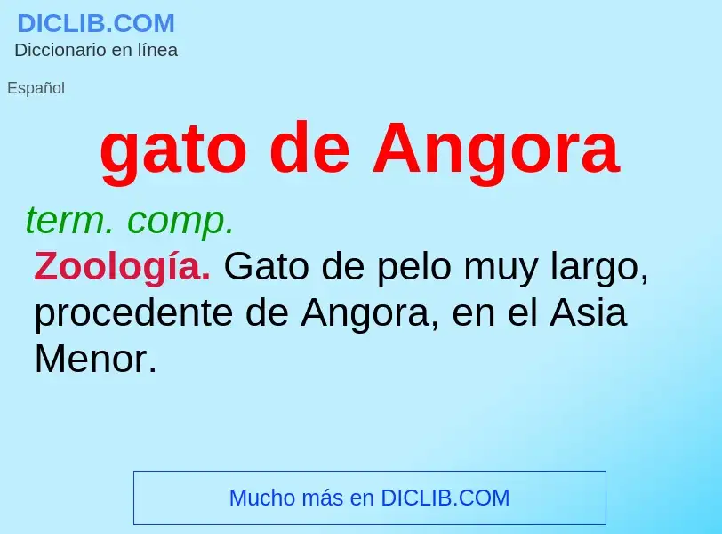 What is gato de Angora - definition