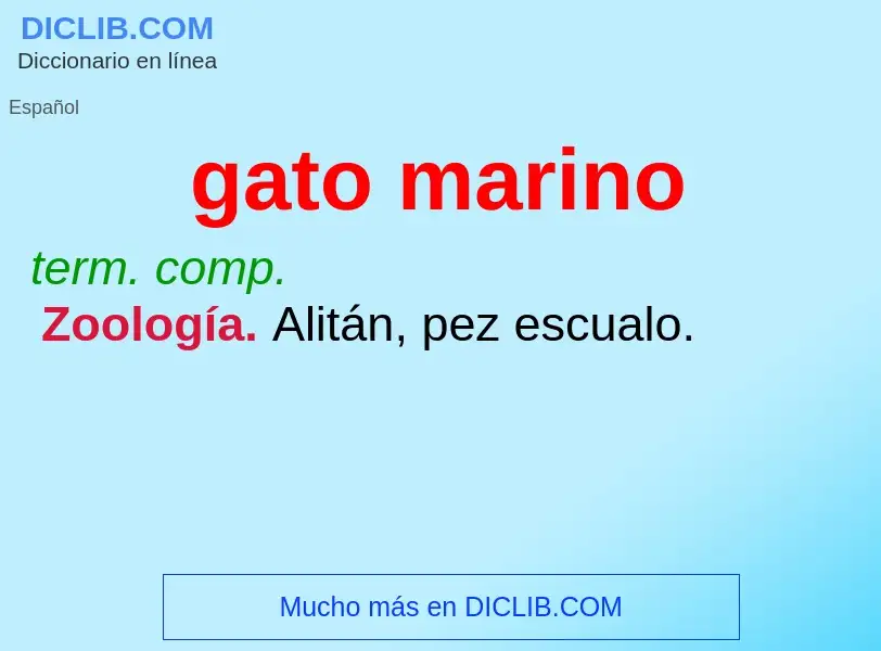 O que é gato marino - definição, significado, conceito