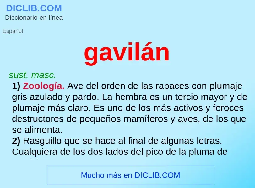 What is gavilán - meaning and definition