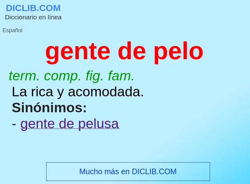 What is gente de pelo - meaning and definition