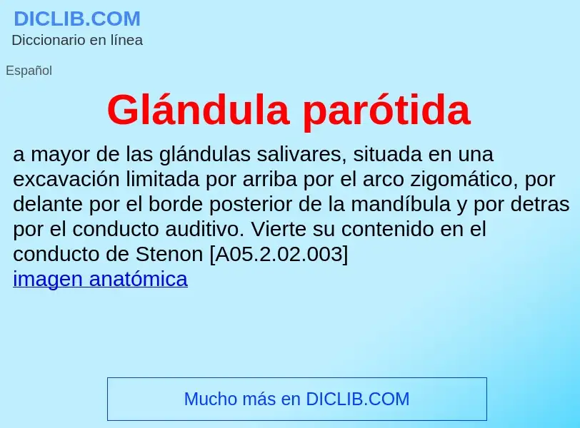 Was ist Glándula parótida - Definition