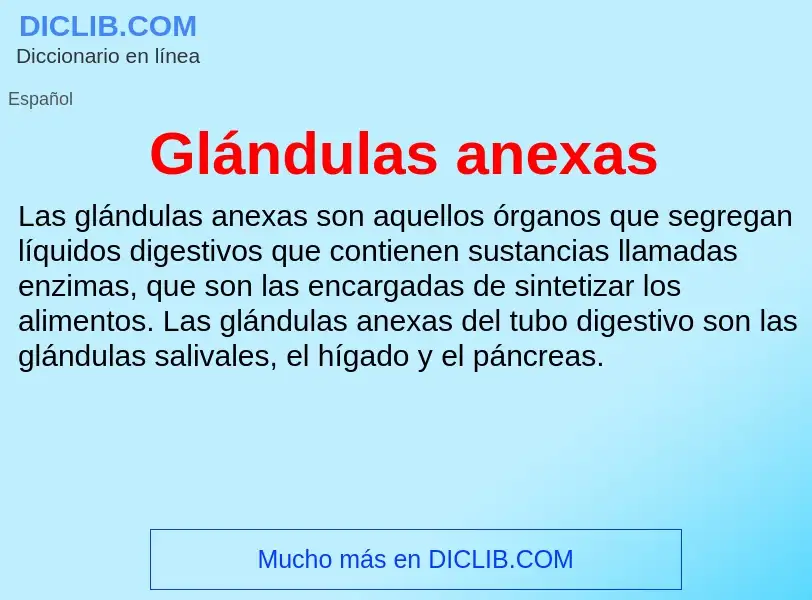 What is Glándulas anexas - meaning and definition