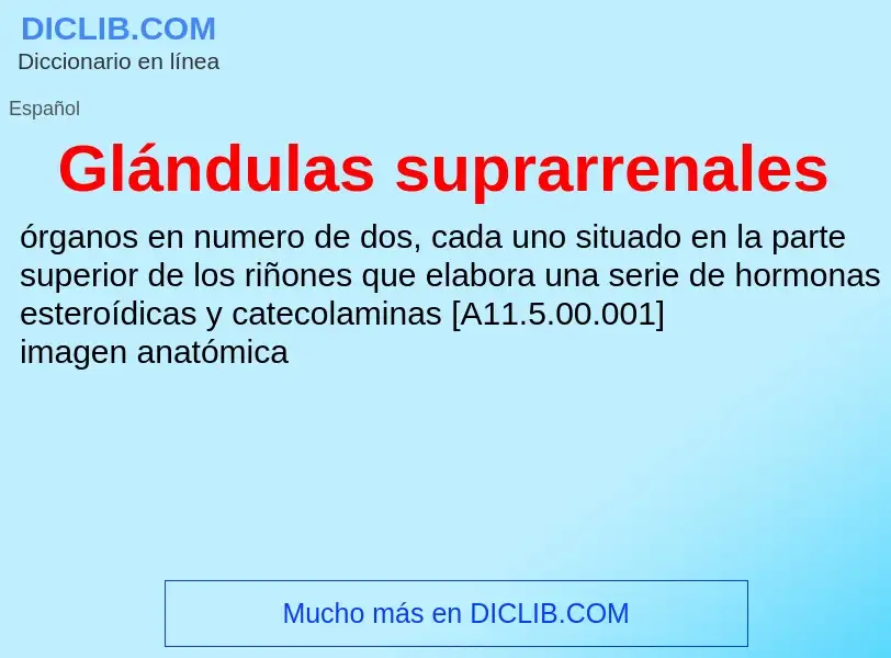 ¿Qué es Glándulas suprarrenales? - significado y definición