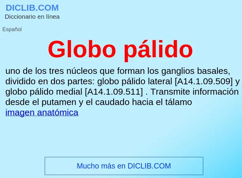 Che cos'è Globo pálido - definizione