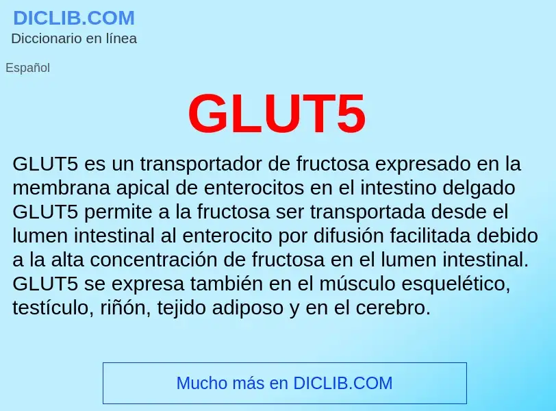 O que é GLUT5 - definição, significado, conceito