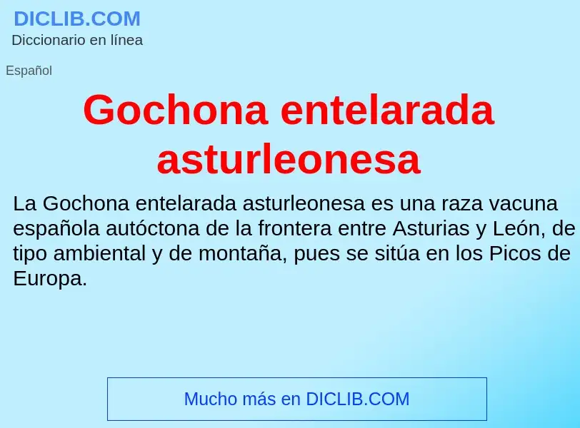 ¿Qué es Gochona entelarada asturleonesa? - significado y definición