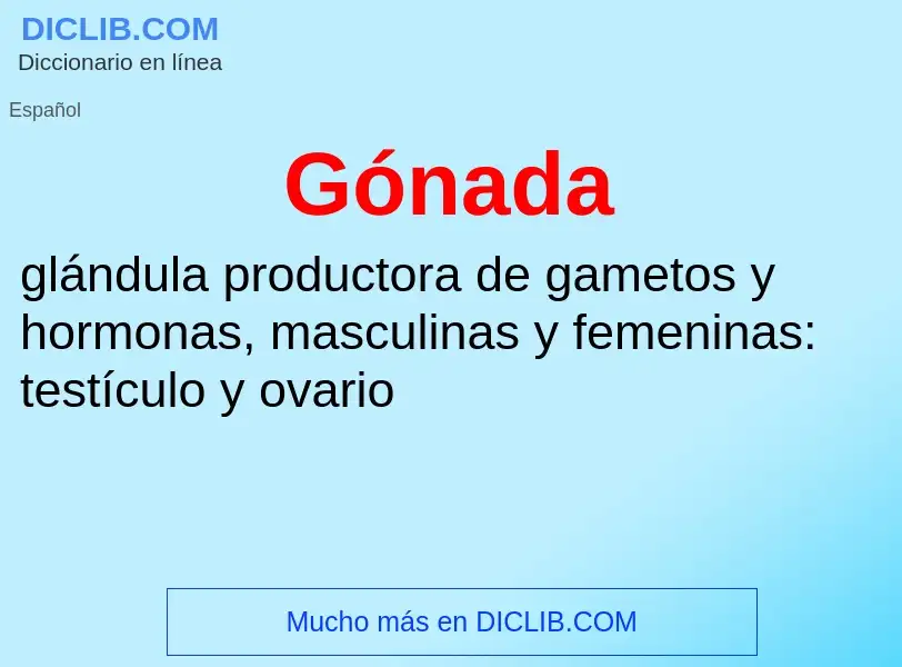 Was ist Gónada - Definition