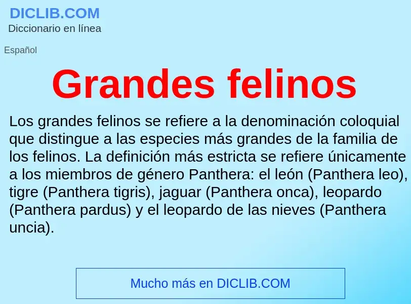 ¿Qué es Grandes felinos? - significado y definición