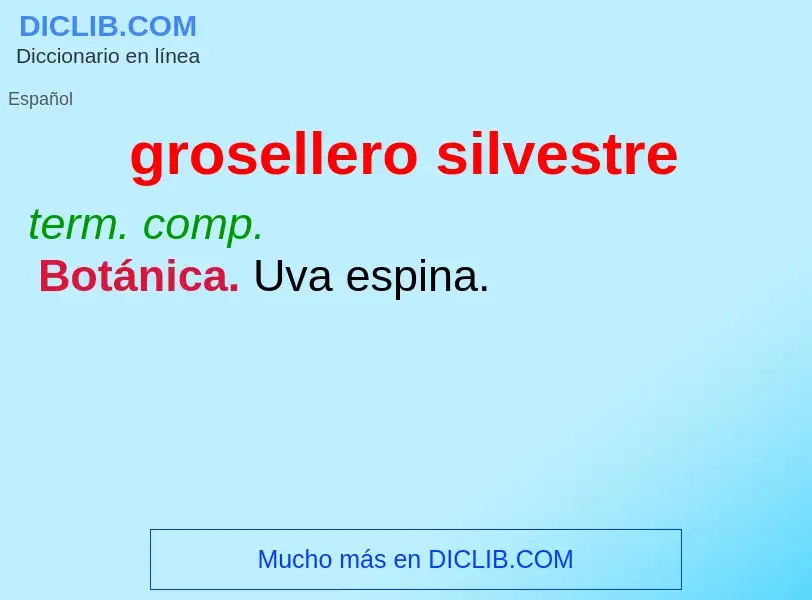 ¿Qué es grosellero silvestre? - significado y definición