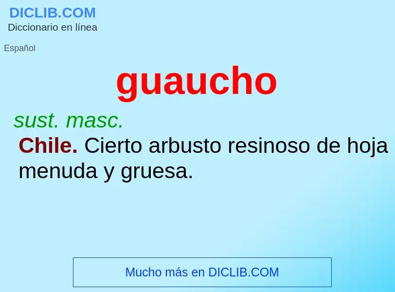 ¿Qué es guaucho? - significado y definición