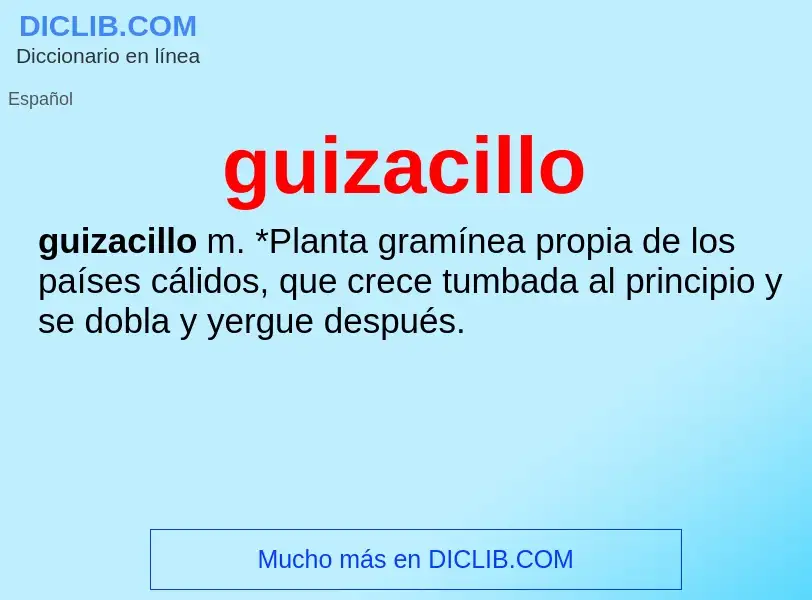 ¿Qué es guizacillo? - significado y definición