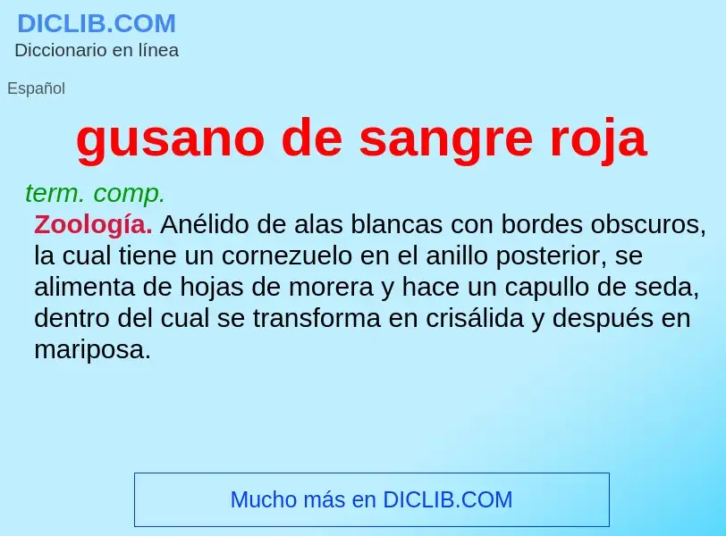 What is gusano de sangre roja - definition