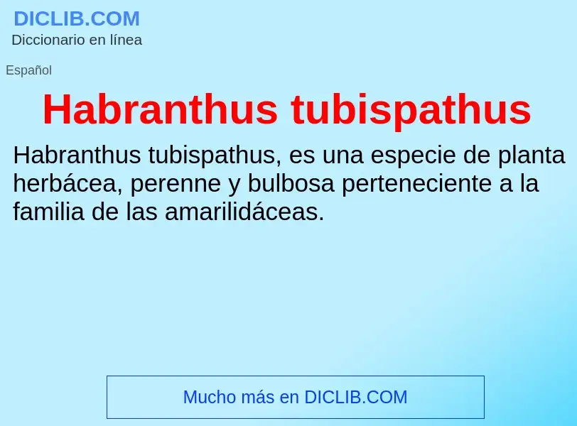 Что такое Habranthus tubispathus - определение