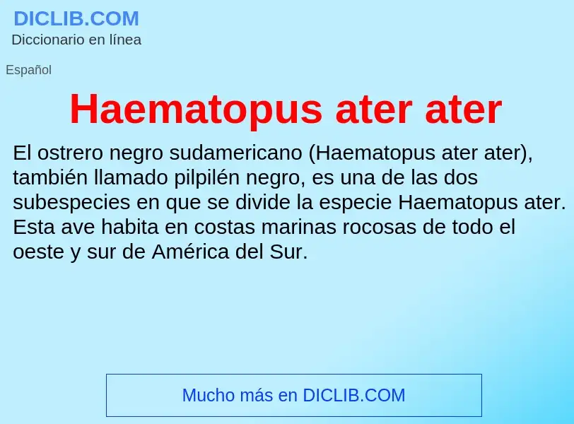 Τι είναι Haematopus ater ater - ορισμός