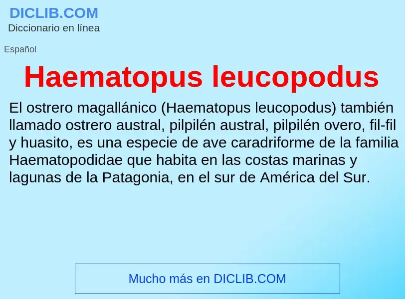 What is Haematopus leucopodus - meaning and definition