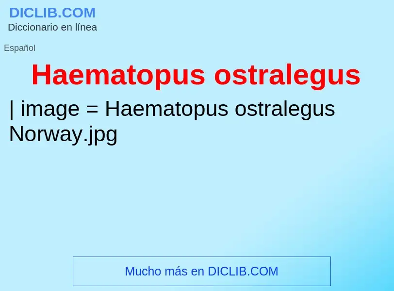 ¿Qué es Haematopus ostralegus? - significado y definición