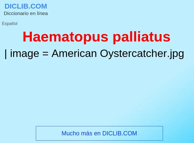 Что такое Haematopus palliatus - определение