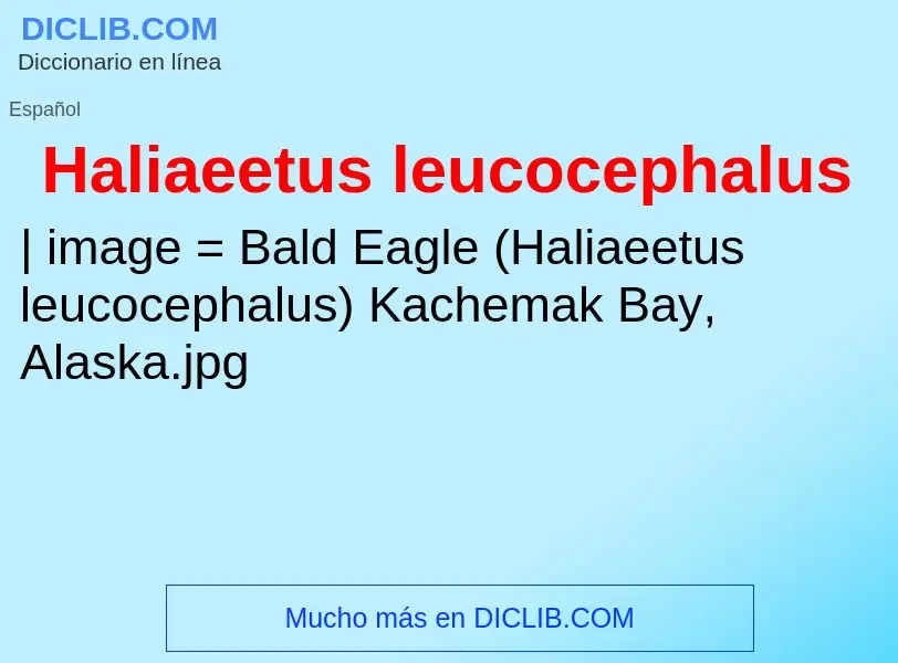 Wat is Haliaeetus leucocephalus - definition